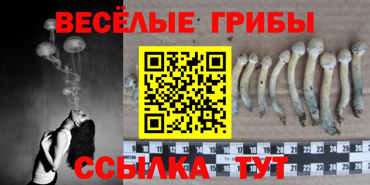 Псилоцибиновые грибы ЛСД Ростов Великий
